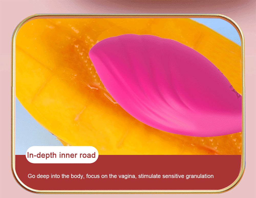 APP Bluetooth Control Female Vibrator for Women Clitoris Stimulator Wireless G Spot Dildo Love Egg Sex Toys for Adults